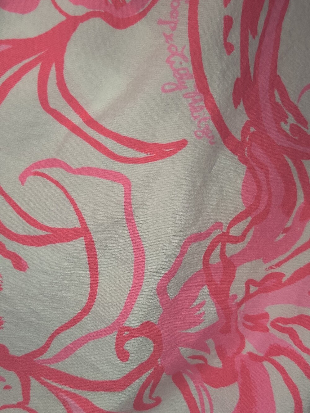 Goop X Lilly Pulitzer Skirt full skirt Kiss Kiss Size 2 - Picture 6 of 12